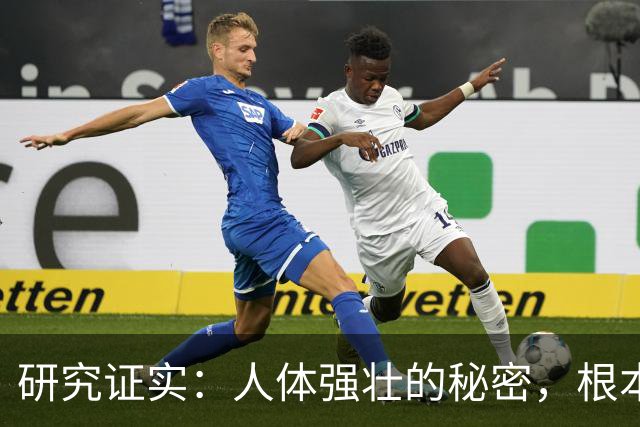 研究证实：人体强壮的秘密，根本不是肌肉！而是这四个东西